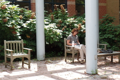 outdoor reading garden